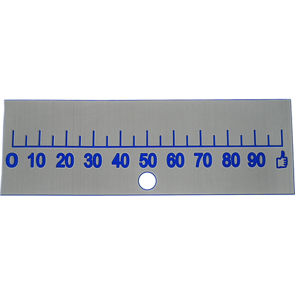 fish ruler